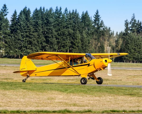 Piper L-21 Super Cub (N3592A) - N3592A 1953 Piper PA-18-135 C/N 18-3022