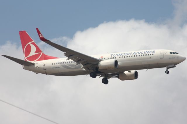 Boeing 737-800 (TC-JVJ)