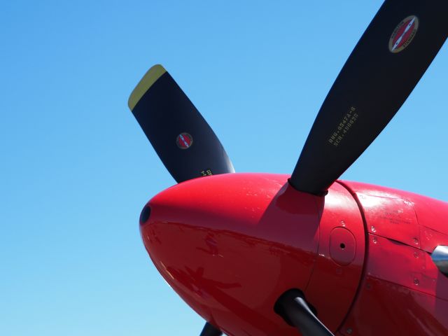 North American P-51 Mustang —