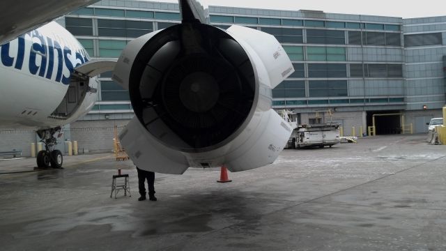 Airbus A330-200 — - Maintenance check on the Rolls Royce. Reverser deployed.