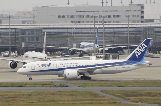 Boeing 787-8 (JA828A) - Taxing at Tokyo-Haneda Intl Airport on 2014/05/25