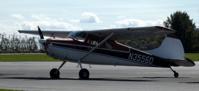 Cessna 170 (N3556D) - Catching some tarmac time is this 1956 Cessna 170B in the Autumn of 2020.