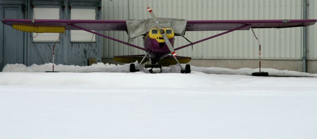 OE-APD — - Luscombe 8F Silvaire 90   -   Graz, Luftfahrtmuseum  -  2010-02-22