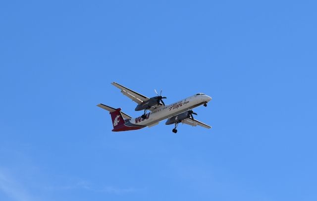 — — - Alaska Airlines Bombardier Q400 (DH4) with WSU Livery on final approach to KSJC