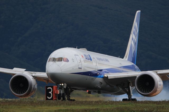 Boeing 787-8 (JA812A) - October 5th 2019:HND-HKD.