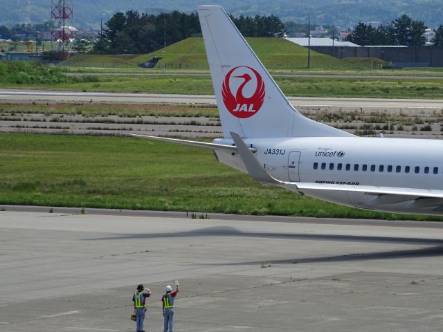 Boeing 737-800 (JA331J)