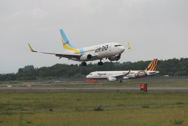 Boeing 737-700 (JA16AN) - August 04, 2024:NGO-HKD.