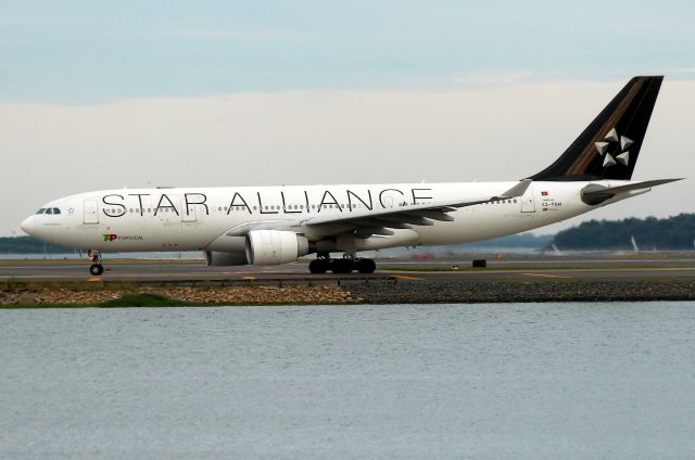 Airbus A330-200 (CS-TOH) - Air Portugal 218, in new Star Alliance livery, heading back to Lisbon