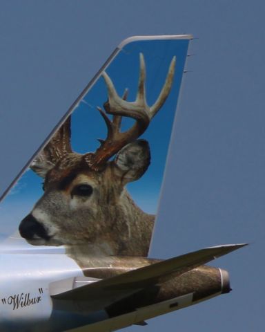 Airbus A320neo (N301FR) - "Wilbur" the Whitetail on the tail of this Frontier Airbus in the Spring of 2021.