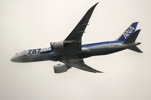 Boeing 787-8 (JA814A)