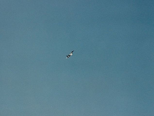 MIKOYAN MiG-33 (BLUE506) - MIG-29 doing a flying routine at KAFW Air Show