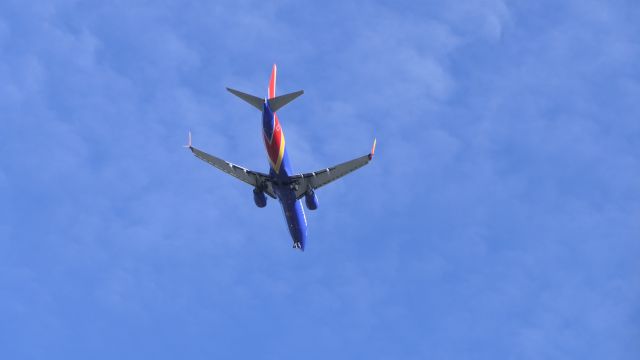 Boeing 737-800 (N8653A)