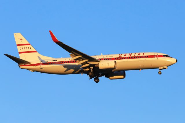 Boeing 737-800 (VH-VXQ) - Qantas B737-838/B738 VH-VXQ "Retro Roo II" livery on final approach to YPAD/ADL while operating a delayed QF592 from YPPH/PER on Sunday 5th of May 2019