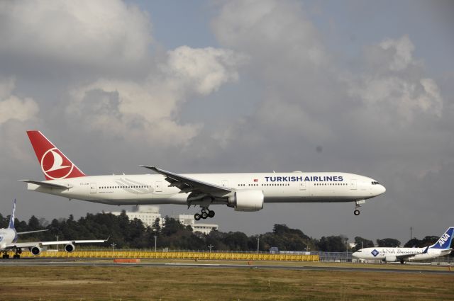 BOEING 777-300 (TC-JJM) - Landing at NRT Airport Runway 16R on 2011/11/23