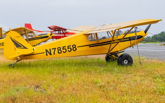 Piper PA-12 Super Cruiser (N78558)