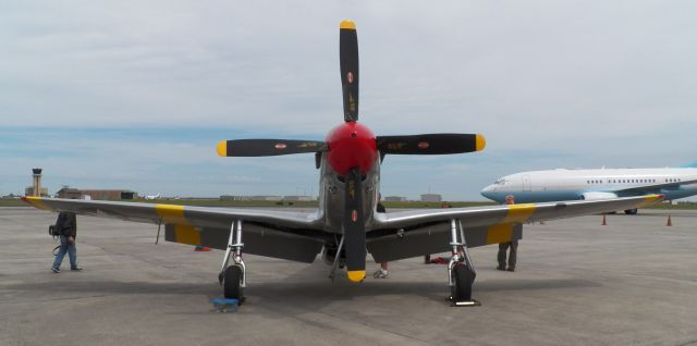 NL251MX — - TP-51C-10 Mustang Betty Jane is powered by a Packard built V-1650 12-cylinder Merlin engine.