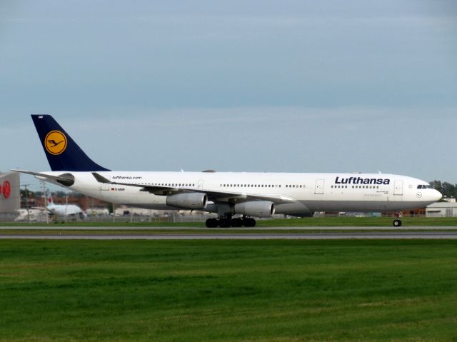 Airbus A340-300 (D-AIGM)