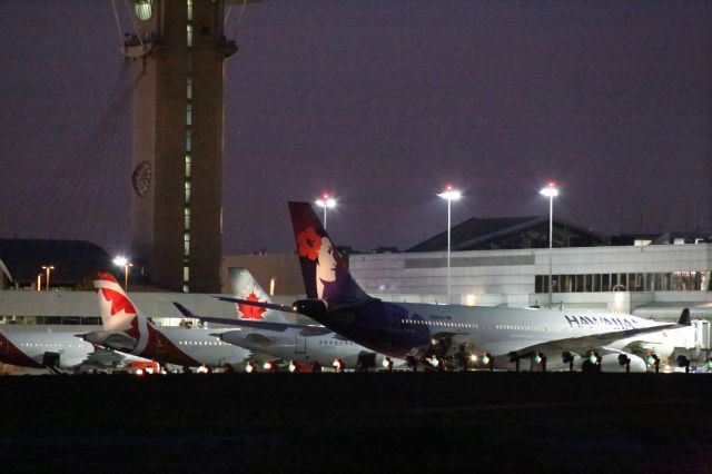 Airbus A330-200 (N390HA)