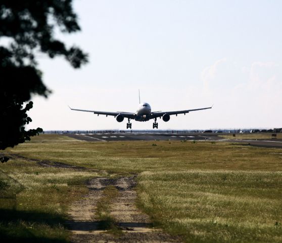 Airbus A330-200 (F-OFDF)