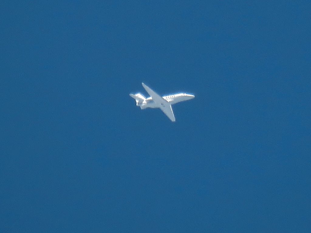 Cessna Citation Latitude (N378TM)
