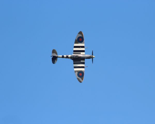 SUPERMARINE Spitfire (N959RT) - Faraway from my vantage point.....but a superb bank by this Spitfire pilot. 