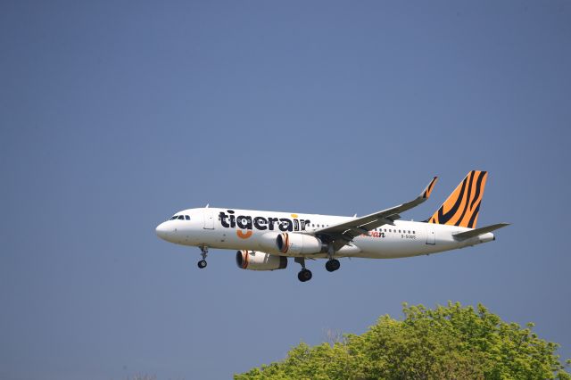 Airbus A320 (B-50015) - May 26th 2019:TPE-HKD.