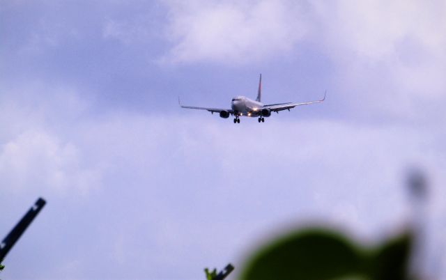 Boeing 737-800 (N3773D)