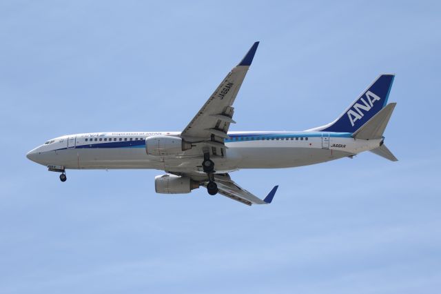 Boeing 737-800 (JA66AN) - 16 July 2016:ITM-HKD.