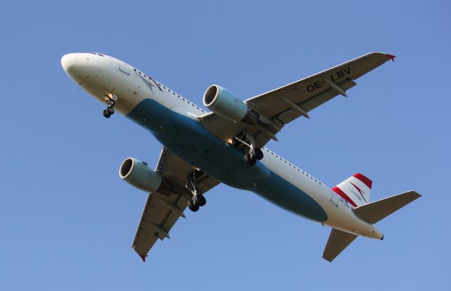 Airbus A320 (OE-LBV) - Landing at Henry Coanda Airport 