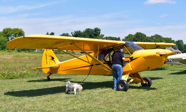 Piper L-18B Cub Special (N327CC) - Cub Crafters CC11-100 N327CC in Brighton