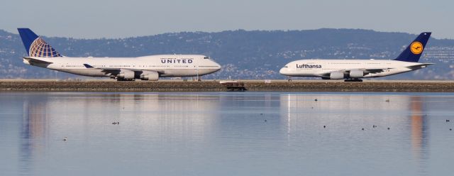 Airbus A380-800 (D-AIMN)