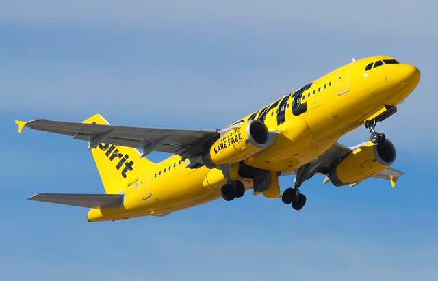 Airbus A319 (N502NK) - One of Spirits A319-100s painted in the "Bare Fare" livery.