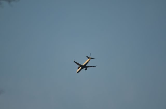 Embraer ERJ-190 (JBU1187) - "Shades of Blue"
