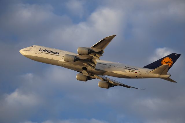 BOEING 747-8 (D-ABYG)