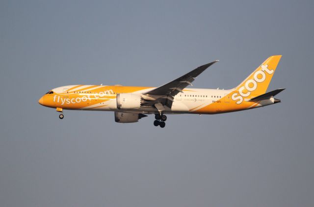 Boeing 787-8 (9V-OFI)