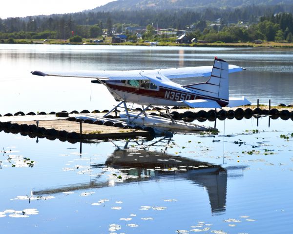 Cessna Skywagon (N355DJ) - Cessna A185F Skywagon N355DJ in Homer 