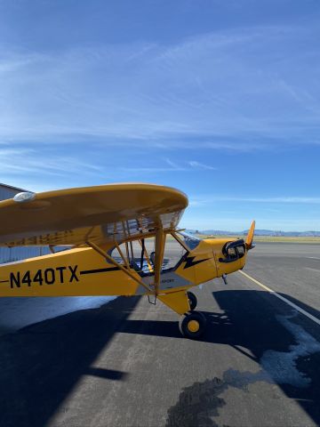 Piper NE Cub (N440TX)