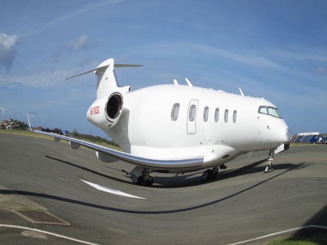 Bombardier Challenger 300 (N876DG)