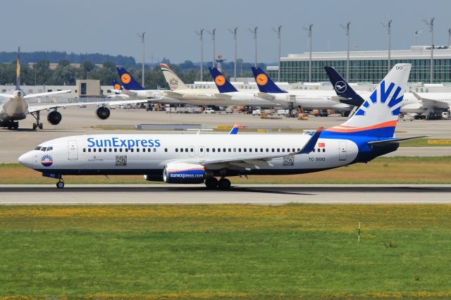 Boeing 737-800 (TC-SOO)