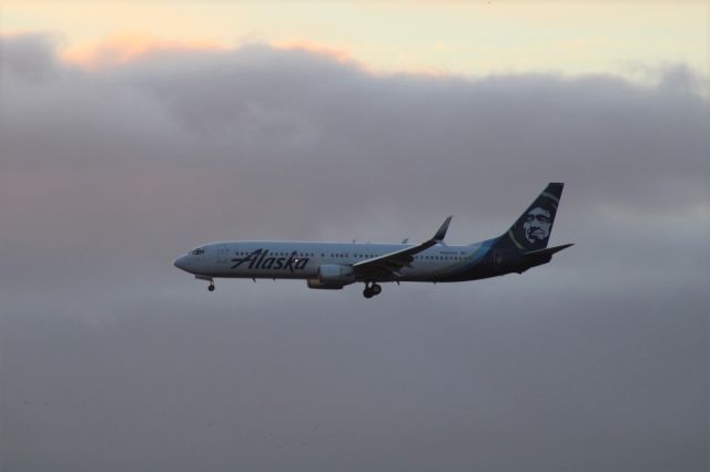 Boeing 737-700 (N306AS) - Alaska Airlines 737 landing at KSEA on February 7, 2022. br /br /This picture was taken from the water tower plane spotting area. 