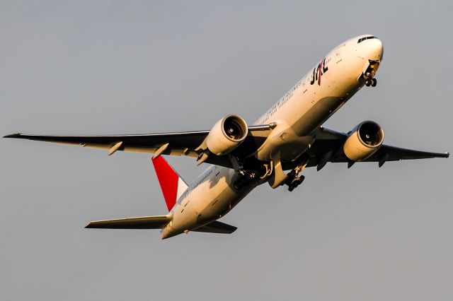 BOEING 777-300 (JA741J) - evening sun