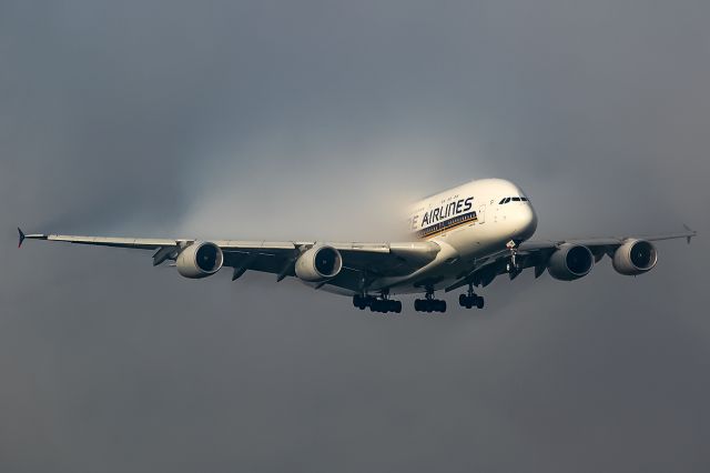 Airbus A380-800 (9V-SKM) -  foggy morning here in Frankfurt