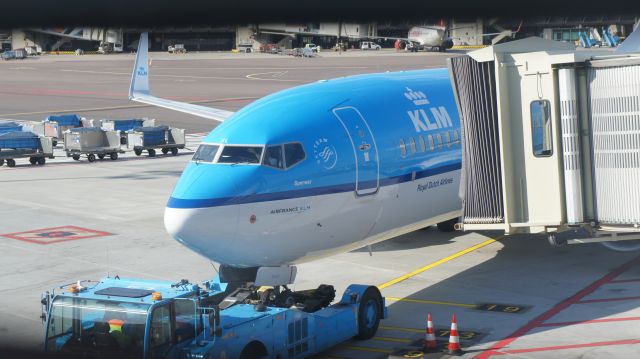— — - B737 to Paris