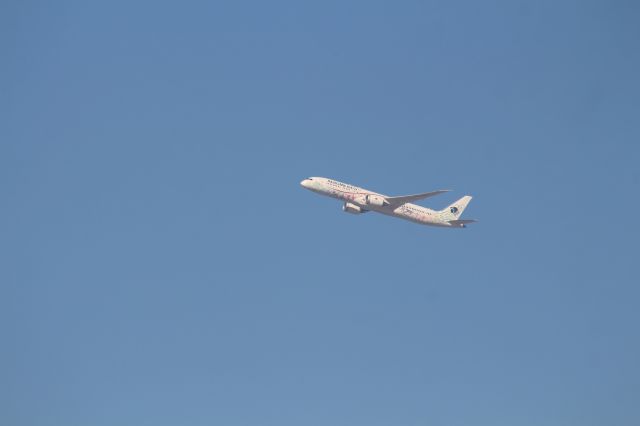 Boeing 787-9 Dreamliner (XA-ADL) - DESPEGUE