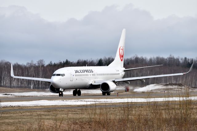 Boeing 737-800 (JA340J)