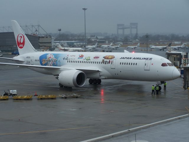 Boeing 787-8 (JA828J) - JA828J parks at the gate at Logan Airport Boston on Sunday 13th January 2013