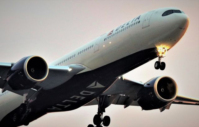 Airbus A330-900 (N401DZ)