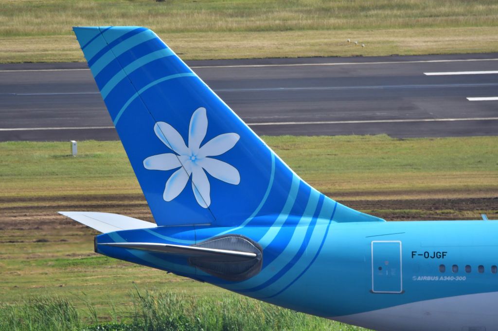 Airbus A340-300 (F-OJGF)