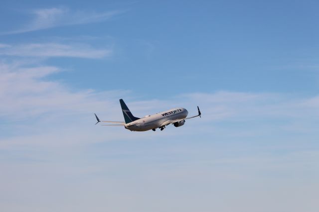 Boeing 737-800 (C-FUCS) - Westjet 737-800 putting its gear up for its trip to YYC