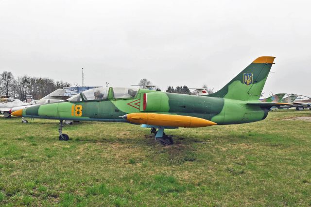 Aero L-39 Albatros — - On display at Ukraine State Aviation Museum, Kiev.